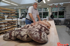 Bread_Summercamp_2021_Auswahl-120