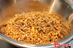 Bread_Summercamp_2021_Auswahl-131