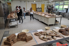 Bread_Summercamp_2021_Auswahl-24