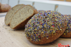 Bread_Summercamp_2021_Auswahl-47