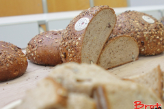 Bread_Summercamp_2021_Auswahl-48