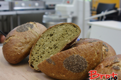 Bread_Summercamp_2021_Auswahl-50