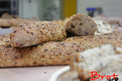 Bread_Summercamp_2021_Auswahl-53