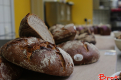 Bread_Summercamp_2021_Auswahl-58