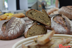 Bread_Summercamp_2021_Auswahl-59