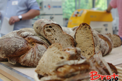 Bread_Summercamp_2021_Auswahl-65