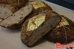 Bread_Summercamp_2021_Auswahl-67