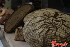 Bread_Summercamp_2021_Auswahl-71