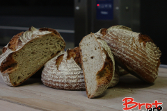 Bread_Summercamp_2021_Auswahl-72